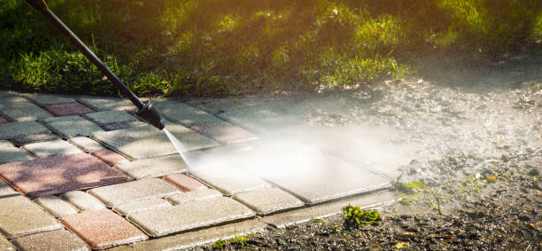 Best Soft Washing  in Ithaca, NY